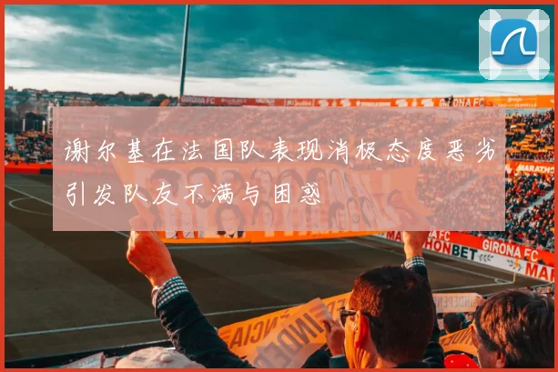 谢尔基在法国队表现消极态度恶劣引发队友不满与困惑
